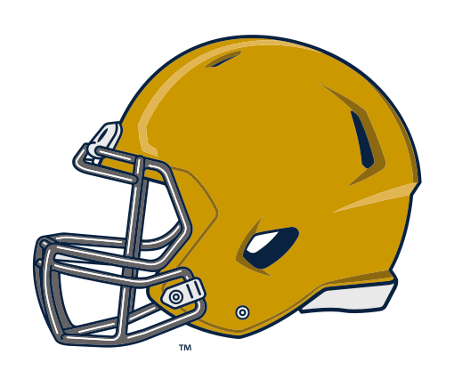 Specialty Mark, Helmet Left Gold/Navy variant