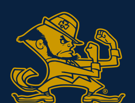 Spirit Mark, Leprechaun Gold/Navy on Navy variant