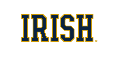 IRISH wordmark, navy with gold outline variant