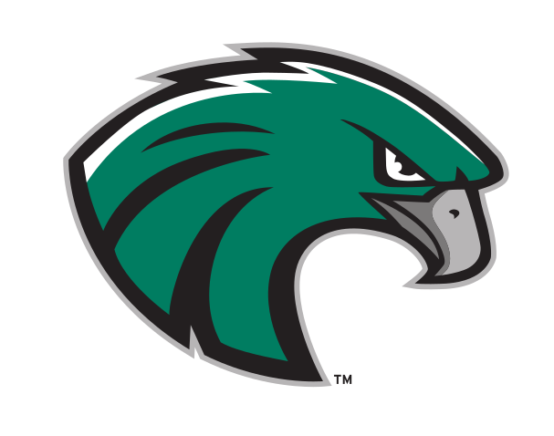 RiverHawks head, full color variant, cell 29