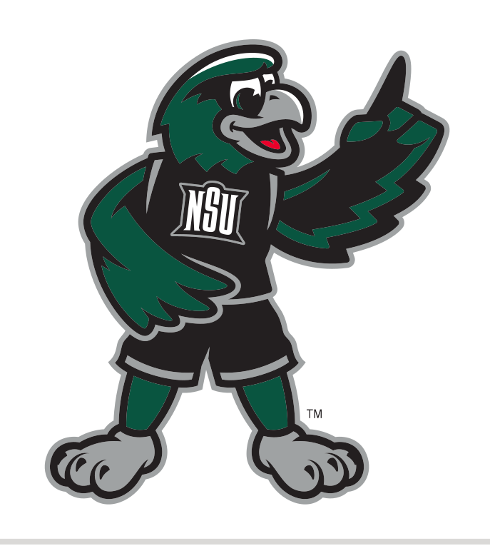 RiverHawk mascot, full color, youth variant, cell 33