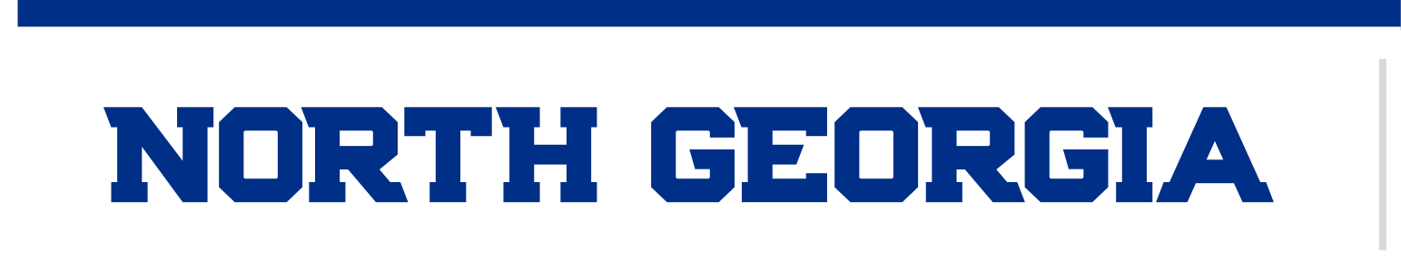NORTH GEORGIA wordmark, blue variant, cell 9