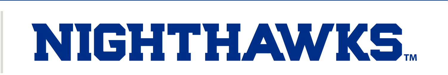 NIGHTHAWKS wordmark, blue variant, cell 19