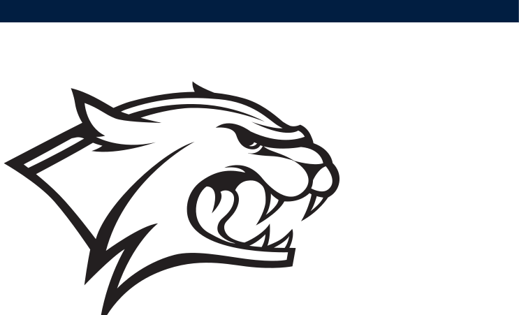 wildcat head, black and white variant, cell 2