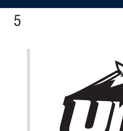 New Hampshire wordmark with wildcat head, color variant, cell 11