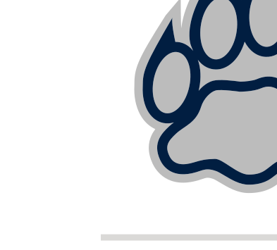 full body wildcat, black and white variant, cell 14