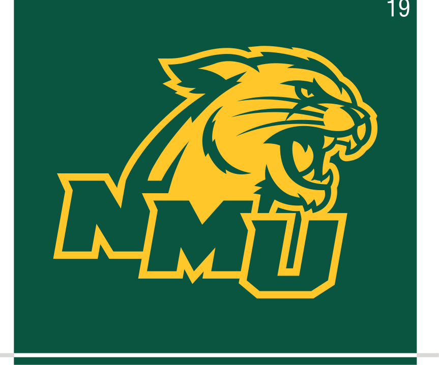 Wildcat head with NMU lettermark, gold and green on green background variant, cell 19