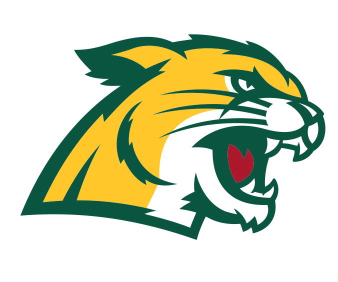 Wildcat head, full color variant, cell 20