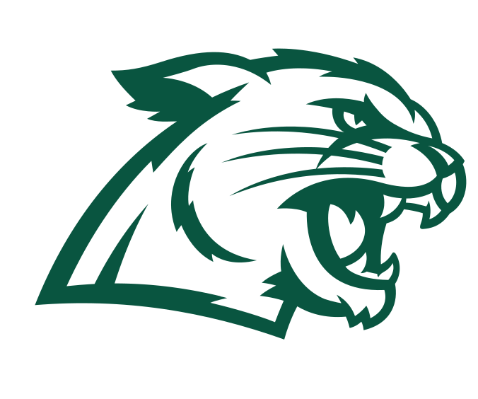 Wildcat head, green and white variant, cell 21