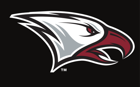 eagle head mark, full color on black variant, cell 10