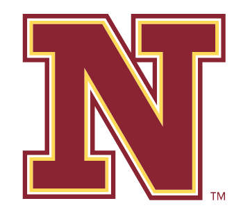 N, maroon and gold variant, cell 13