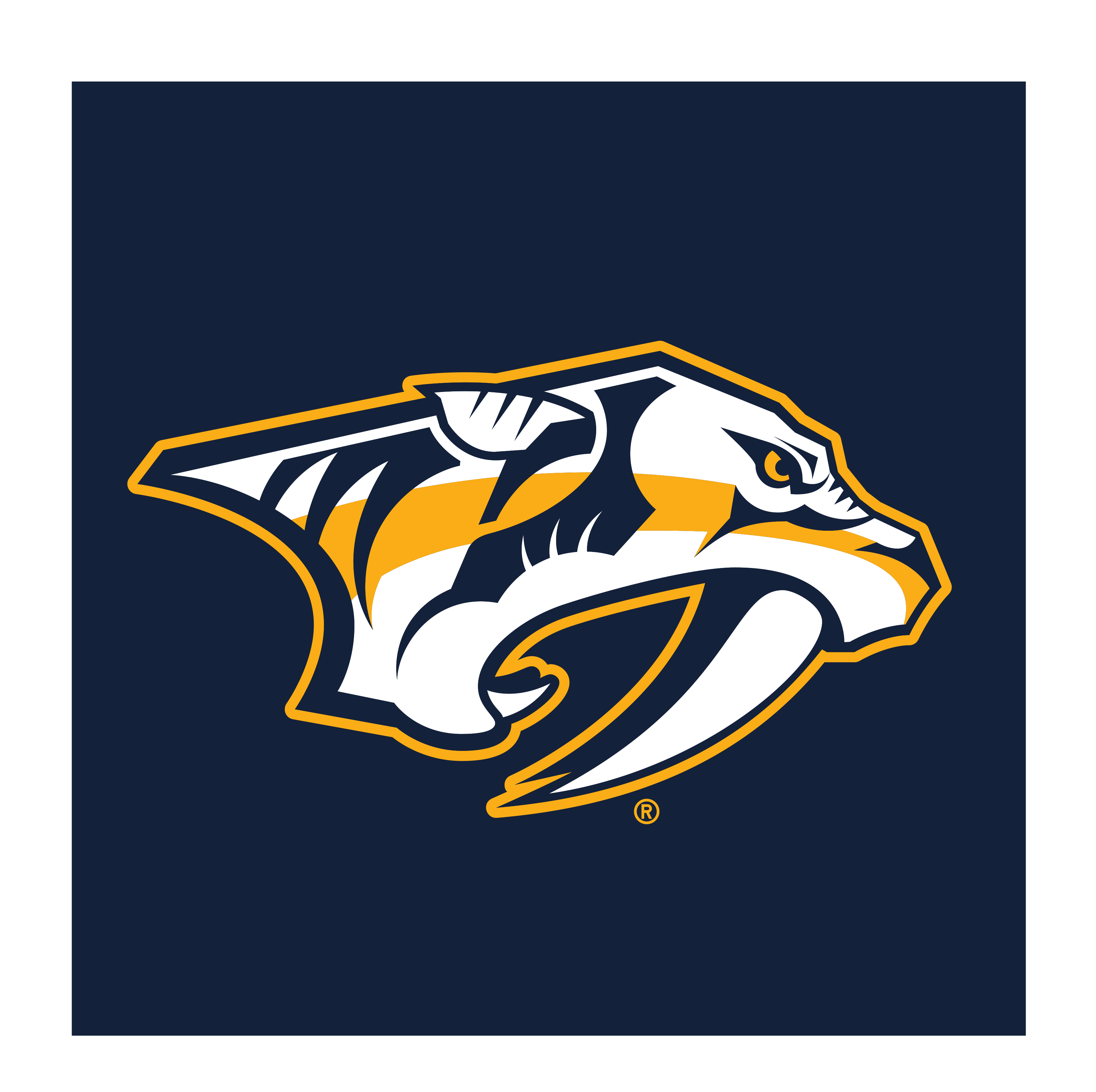 NASHVILLE PREDATORS