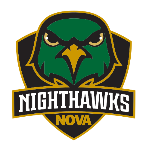 Nighthawks mascot head with banner, color variant, cell 11