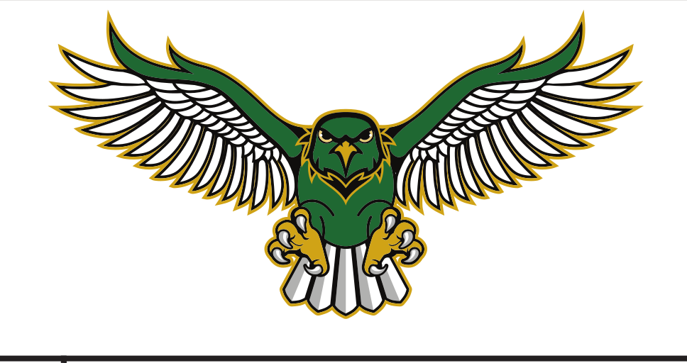 Nighthawks mascot wings spread, color variant, cell 15