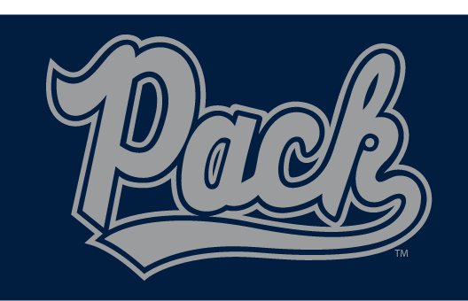 Pack script, blue with silver and blue outline on blue variant, cell 11