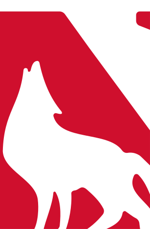 secondary logo, full color lockup variant, cell 9