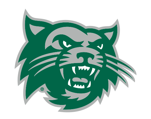 Bearcat head, full color variant, cell 19