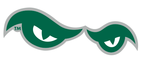 Bearcat eyes, full color variant, cell 25