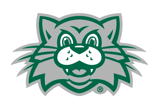 mascot head, full color variant, cell 31