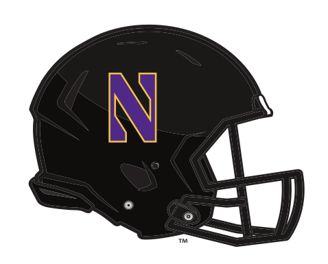 Helmet Mark, black helmet, purple/gold N, side view variant, cell 40