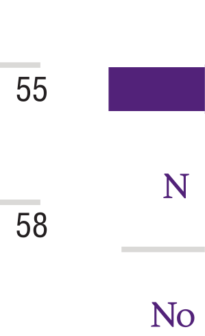 Northwestern Bienen wordmark, standard variant, cell 180