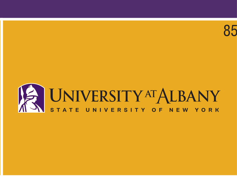 University at Albany horizontal logo, purple/gold on gold variant, cell 85