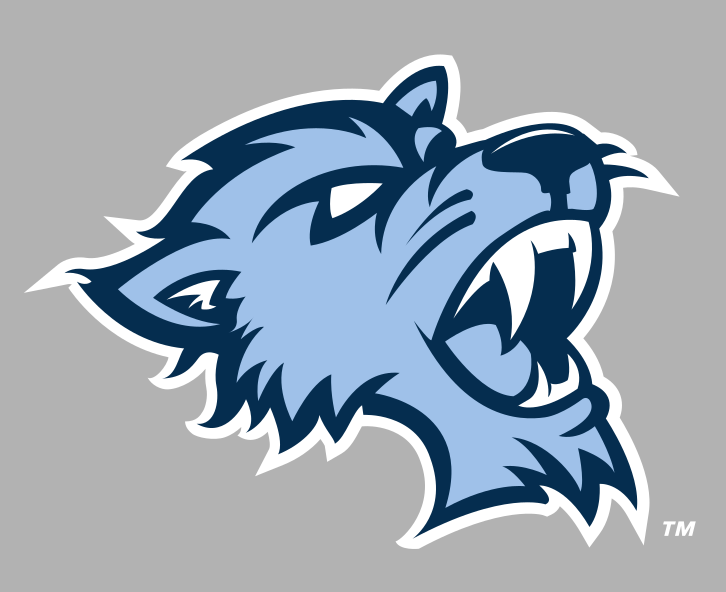 Bearcat head, full color on grey variant, cell 5