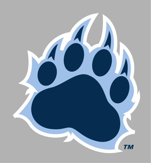 Paw print, full color on grey variant, cell 8