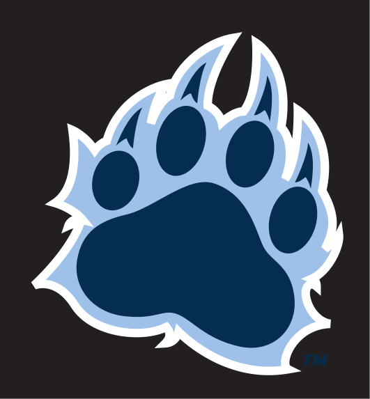 Paw print, full color on black variant, cell 9