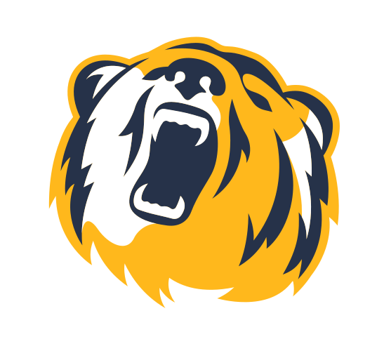 bear head icon, full color variant, cell 1