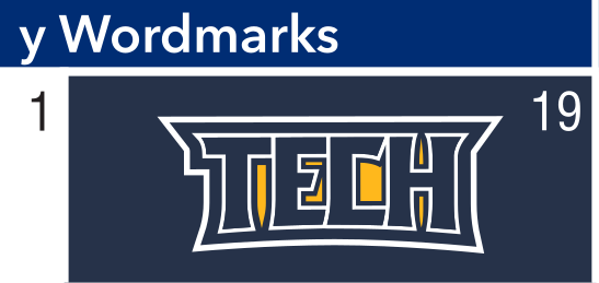 TECH wordmark, white on navy variant, cell 19