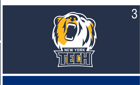 bear head and NEW YORK TECH combination mark, full color on navy variant, cell 30