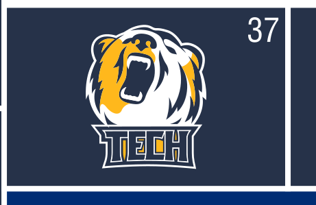 bear head and TECH combination mark, white on navy variant, cell 37