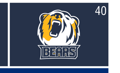 bear head and BEARS combination mark, white on navy variant, cell 40