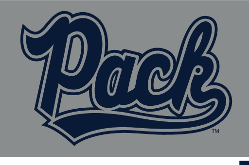 Pack wordmark, blue with white outline on silver variant, cell 10