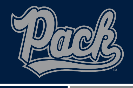 Pack wordmark, blue with silver outline on blue variant, cell 11