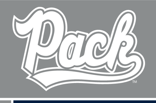 Pack wordmark, white with silver outline on silver variant, cell 12