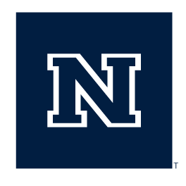 N logo, full color variant, cell 22