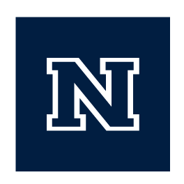 N logo, full color variant, cell 23