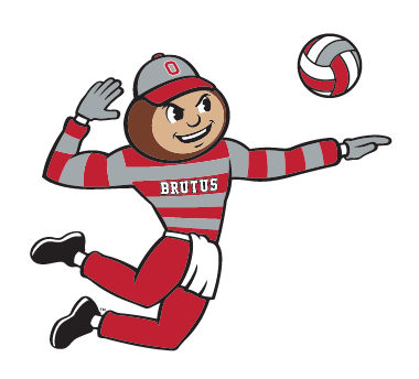 Brutus Buckeye, volleyball, color variant