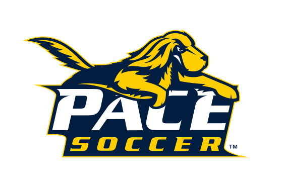 Pace University sport logo, mascot with wordmark and sport name variant, cell 63