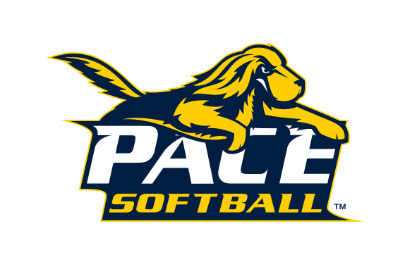 Pace University sport logo, mascot with wordmark and sport name variant, cell 64