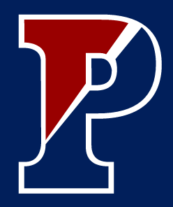 Split P, red/white on navy variant, cell 202