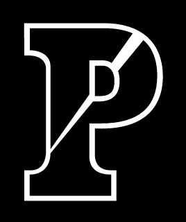 Split P, white outline on black variant, cell 202