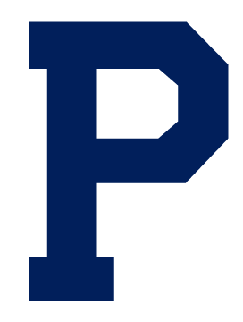 Vintage P, navy block variant, cell 501