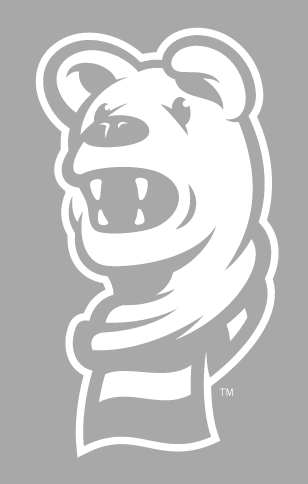 Mascot Head Mark, full color variant, cell 45