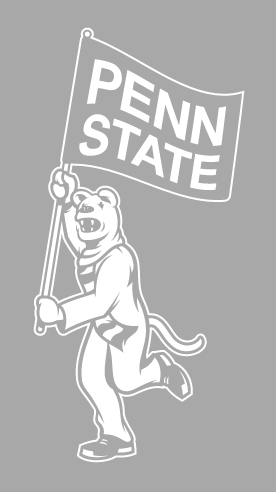 Mascot Flag Wordmark, full color variant, cell 55