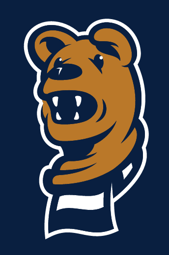 Nittany Lion mascot head, color variant, cell 66