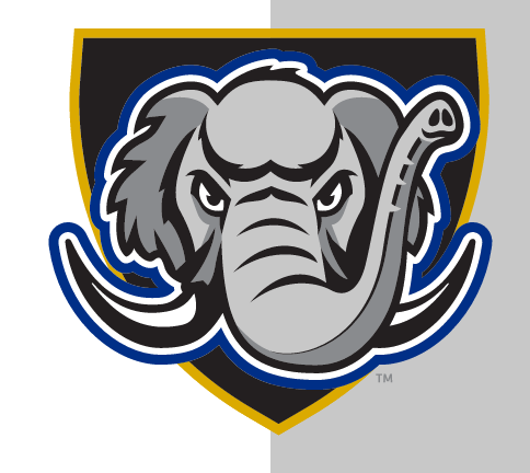 Purdue Fort Wayne Mastodon icon, full color variant, cell 9
