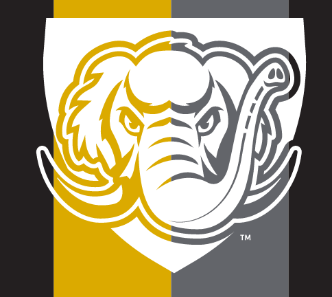 Purdue Fort Wayne Mastodon icon, white and gold variant, cell 14